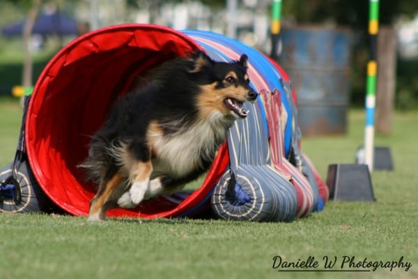 Agility