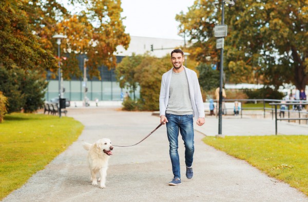 Loose Lead Walking