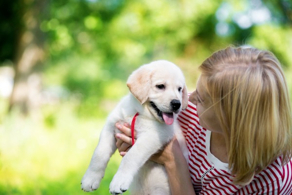 Pre-vaccination Puppy Lessons