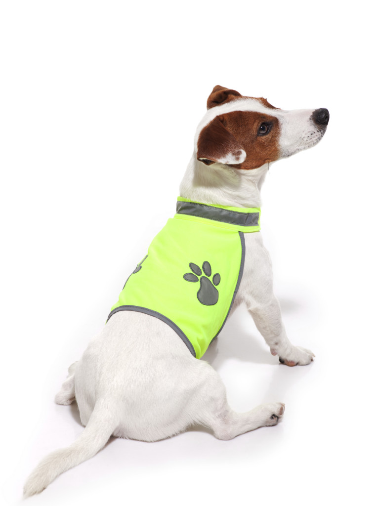 High Visibility Dog Coat